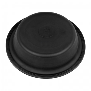 Diaphragm 0004216286